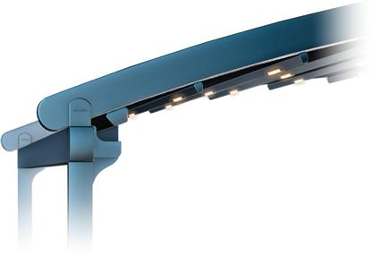 Bild von Pergola Coral